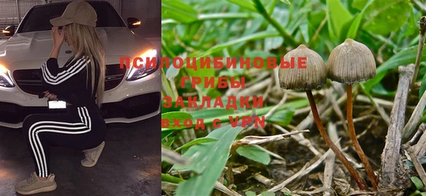 меф Кинешма